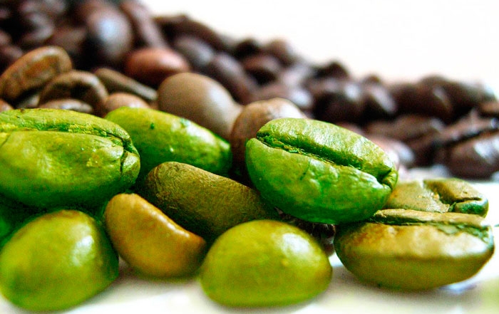 Os benefícios do Café Verde
